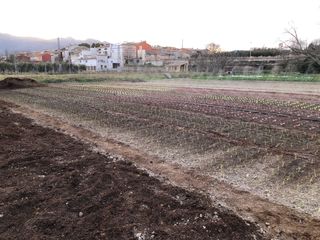 Venta de Compost/Estiercol