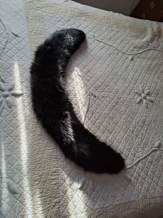 abrigo negro pelo para vestir de noche