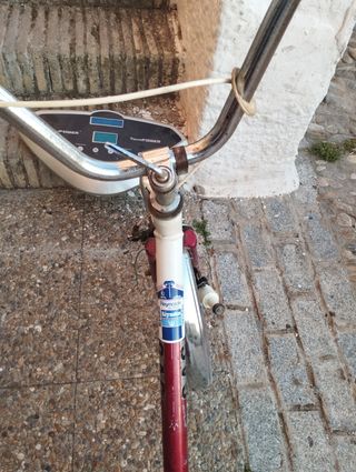 Bicicleta antigua