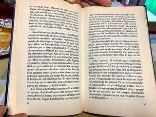 Novela temática variada