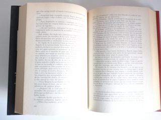 "El Oráculo de Cristal". Judith Merkle Riley