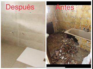 Mohammed reformas integral