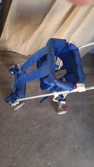 mochila - carro porta bebes montaña