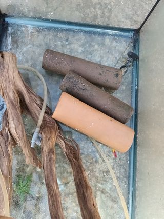 se venden peceras, terrorismo y accesorios 