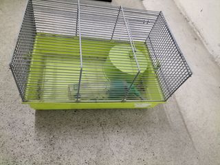 Jaula para hamster