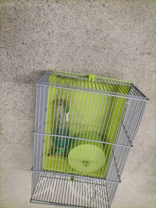 Jaula para hamster
