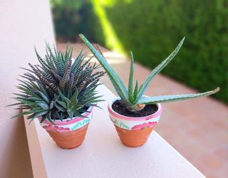 LOTE DOS MACETAS CON CACTUS