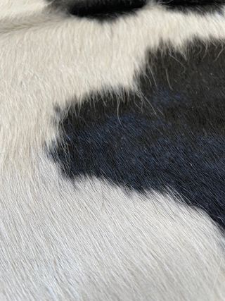 Alfombra de auténtica piel de vaca