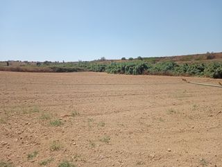 FINCA RÚST. de regadío en MOGUER (HUELV. 679820335