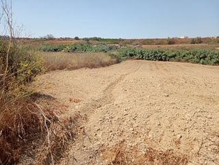 FINCA RÚST. de regadío en MOGUER (HUELV. 679820335