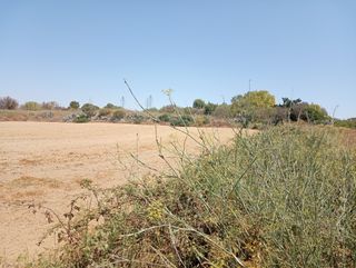 FINCA RÚST. de regadío en MOGUER (HUELV. 679820335