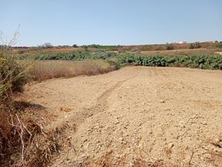 FINCA RÚST. de regadío en MOGUER (HUELV. 679820335