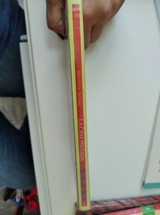 La casa pintada. Montserrat del Amo.