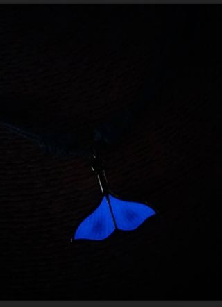 Colgate cola de sirena nuevo