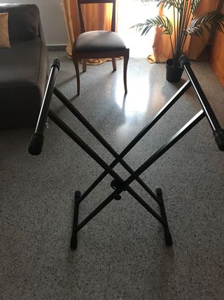 Órgano Casio CTK-3000