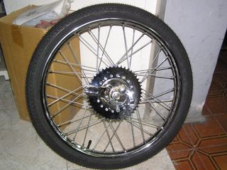 Setter 49 c.c. 