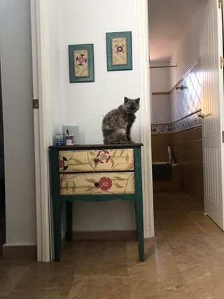 Consola Recibidor Entrada Distribuidor