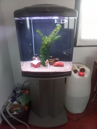 Acuario JAD 120L