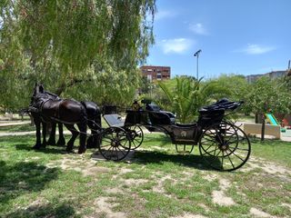 carruajes de caballos