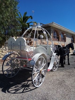 carruajes de caballos