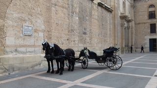 carruajes de caballos