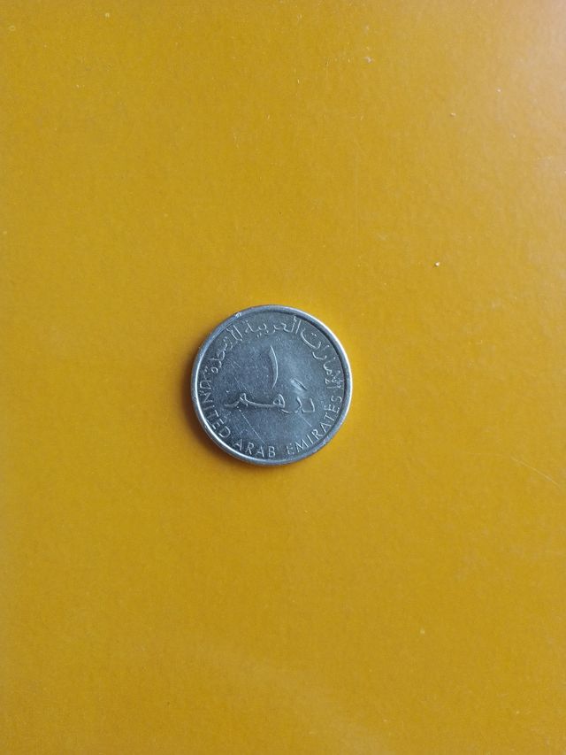 monete degli Emirati Arabi Uniti (Dirham)