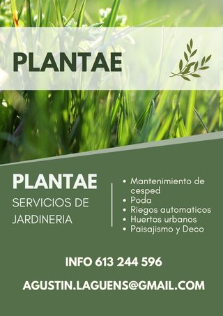 Jardinero. Empresa de jardinería.