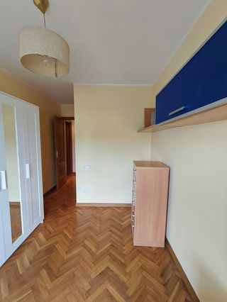 Pintor económico