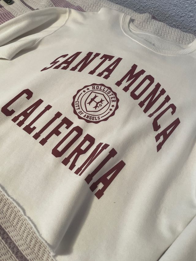 Sudadera hollister