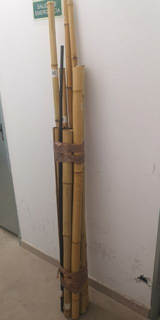 Pokémon cartas 1 edición base set