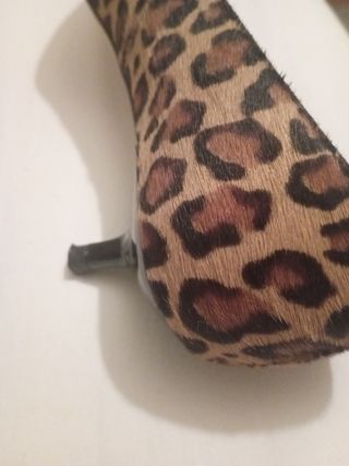 Zapatos