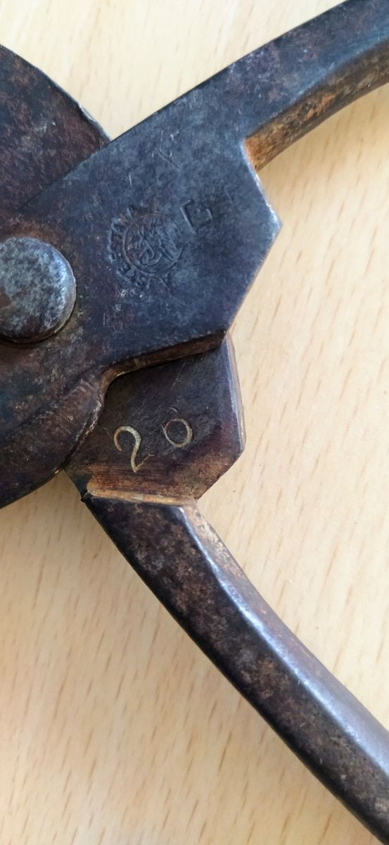 Antigua tijera fe cortar chapa