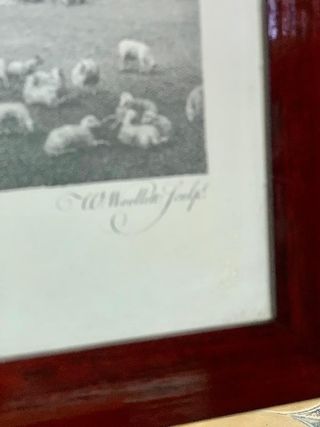 LÁMINAS INGLESAS ANTIGUAS