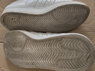 Sneakers Adidas Campus, circa 36