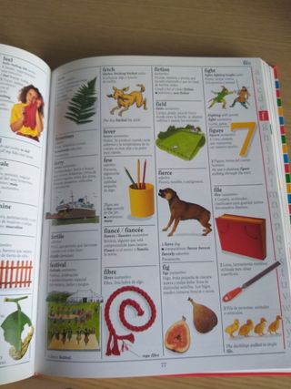 mi primer diccionario en inglés