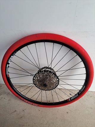 Rodillo zycle smart pro