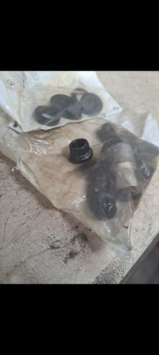 Esparragos ARP Honda