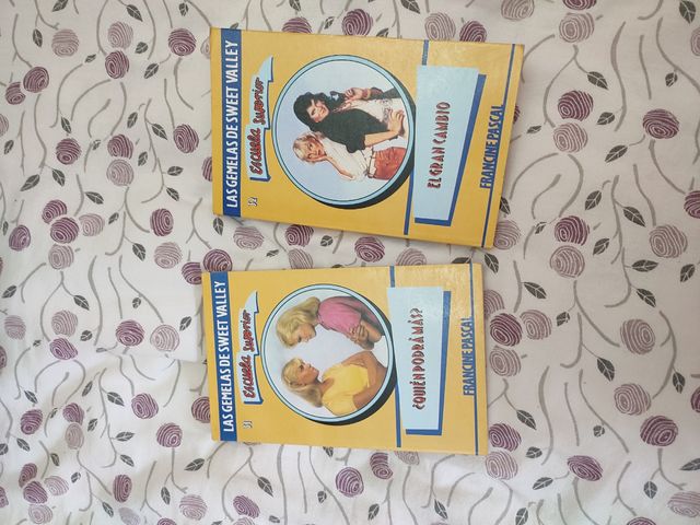 Las gemelas de Sweet Valley colección