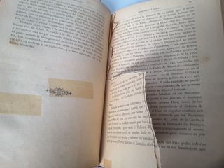 El Señorío de Bizcaya, Histórico y Floral 1885