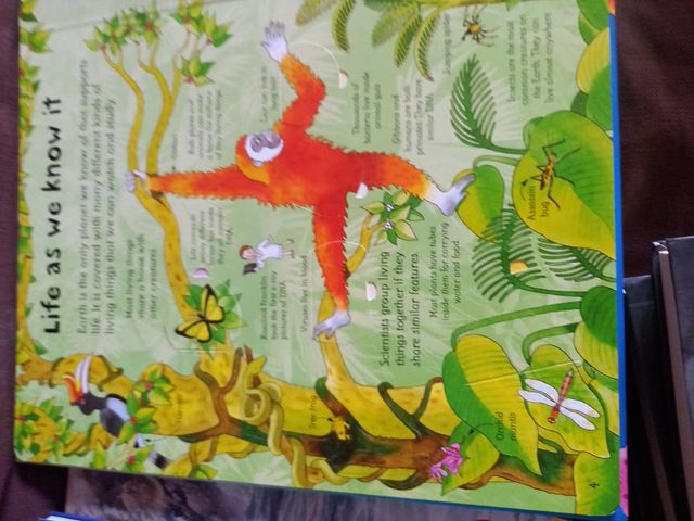 See inside science y Alucina con la química