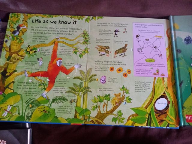 See inside science y Alucina con la química