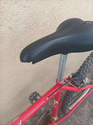 bici montaña top trotter