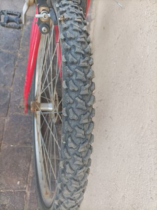 bici montaña top trotter