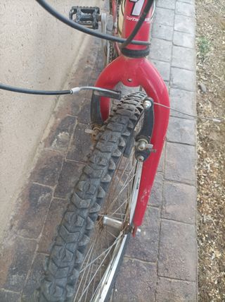 bici montaña top trotter