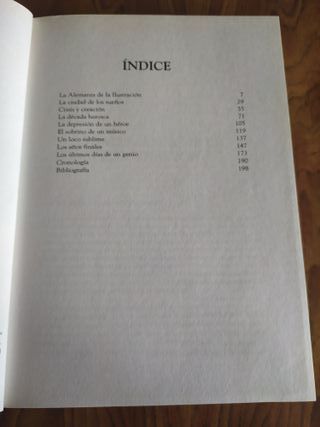 Libro, Biografía de Ludwing Van Beethoven