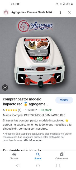 pastor electrónico