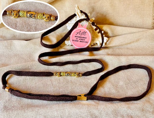 Corre perro,exposición canina