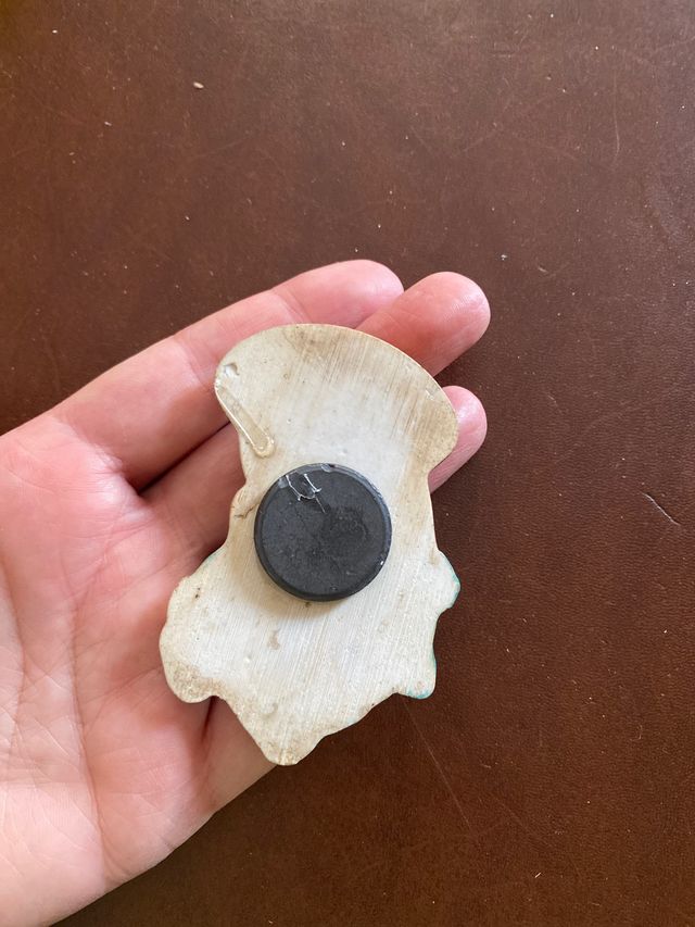 Calamita vergine (7)