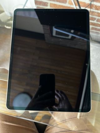 iPad Pro 12,9" (4.a) - WiFi de 256GB + Lapiz Apple