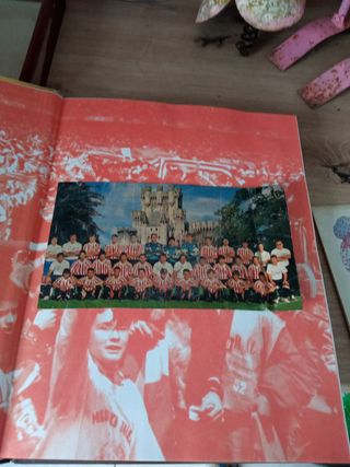 El libro de oro 